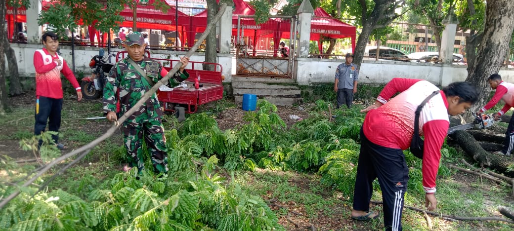 Gandeng DLH, Babinsa Kelurahan Nusukan Laksanakan Kerja Bhakti Perempelan Ranting Dan Dahan Pohon
