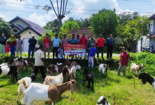 Babinsa Wonosegoro Berperan Aktif Dalam Sosialisasi Peternakan di Balai Desa Gilirejo