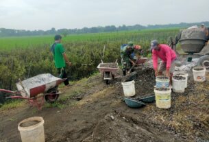 Membangun Desa Bersama Warga, Babinsa Kerja Bakti Pengecoran Jalan