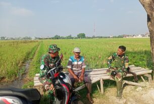 Bantu Petani, Satgas TMMD Reguler Ke-120 Kodim 0726/Sukoharjo Bangun Sumur Dalam Untuk Pengairan Sawah