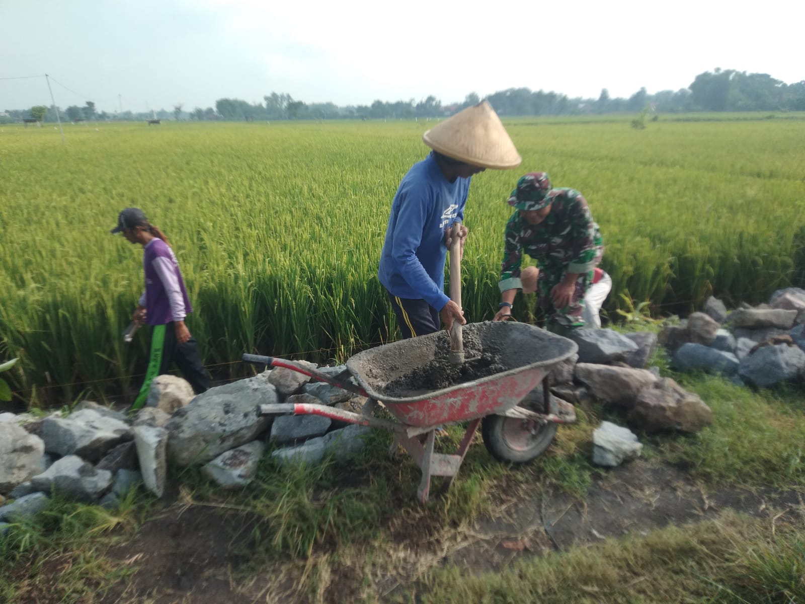 Babinsa Gotong Royong Bangun Talud Jalan Sawah, Wujud Sinergi Antara Aparat dan Masyarakat