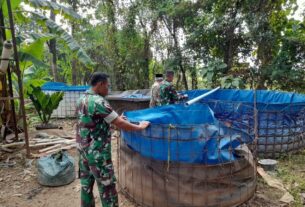 Babinsa Nogosari Motivasi Peternak Ikan Lele