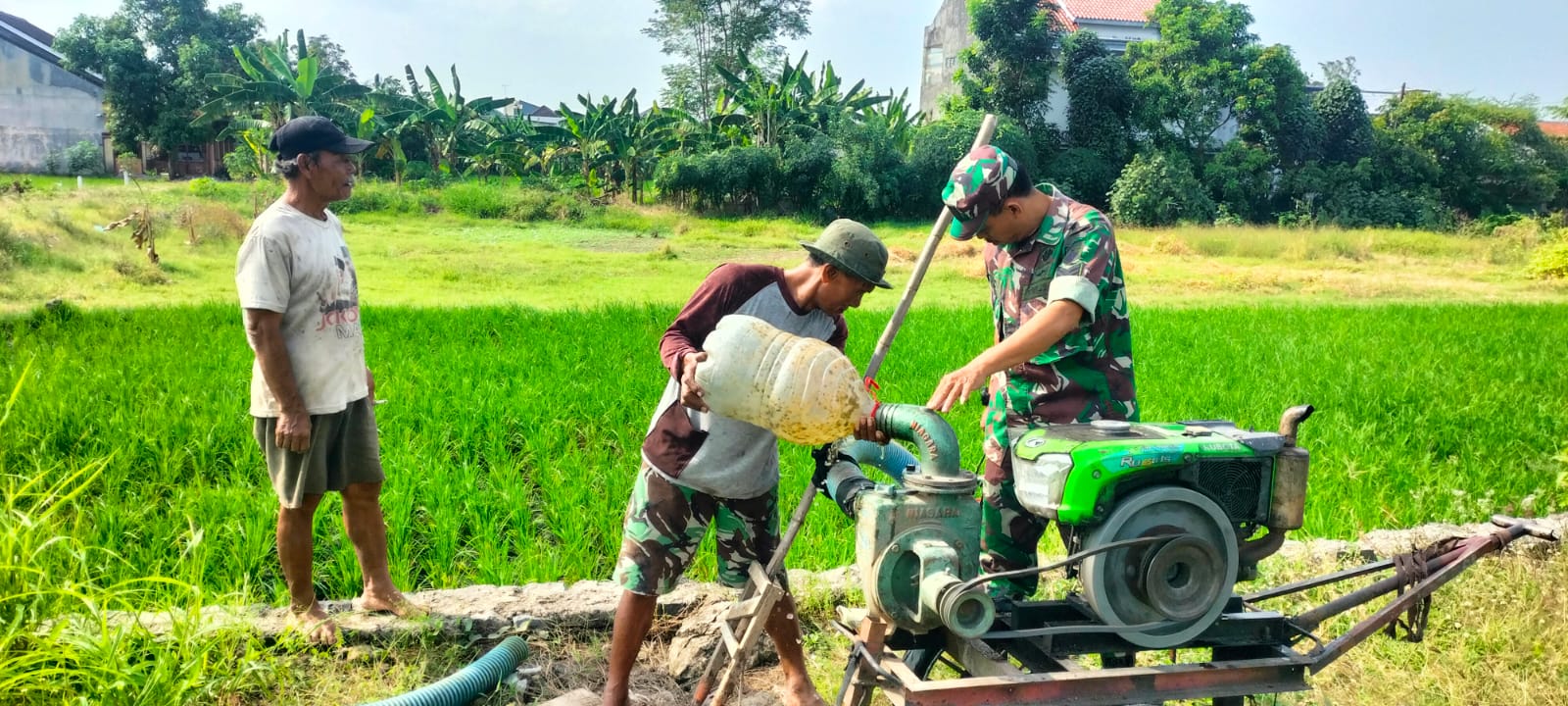 Dukung Ketahanan Pangan Wilayah, Danramil 01/Laweyan Bersama Babinsa Karangasem Dampingi Kelompok Tani