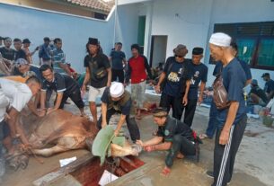 Rayakan Idul Adha,Laci berbagi hewan kurban untuk masyarakat