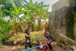Babinsa Dan Penyuluh Pertanian Wonosegoro Jalankan Program Pompanisasi