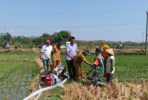 Babinsa Nogosari Dampingi Poktan Melalui Program Pompanisasi