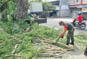 Utamakan Keselamatan Warga, Babinsa Kelurahan Tipes Laksanakan Kerja Bakti Tebang Pohon