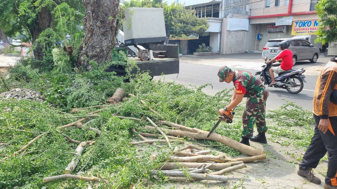 Utamakan Keselamatan Warga, Babinsa Kelurahan Tipes Laksanakan Kerja Bakti Tebang Pohon