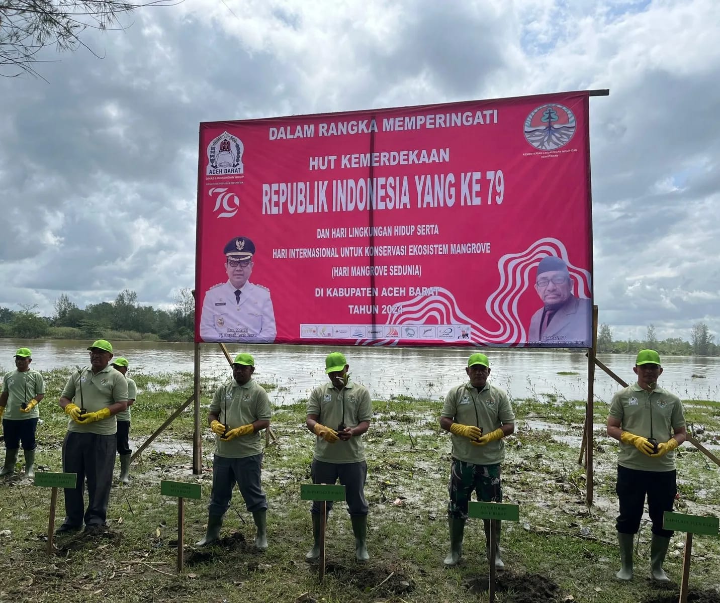 Cegah Abrasi Dan Hijaukan Alam, Forkopimda Aceh Barat Tanam Bibit Mangrove Dibibir Pantai Calok Padang Seurahet