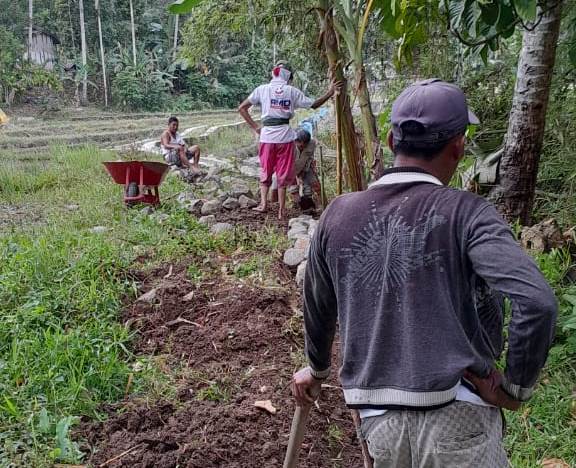 Pemerintahan pekon Pajar bulan buka Jalan Usaha tani