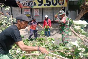 Demi Keselamatan Warga, Babinsa Penumping Terjun Ke Lapangan Bantu Pemangkasan Pohon