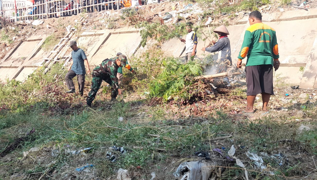 Semak Belukar di Pinggiran Bendung Tirtonadi Jadi Sasaran Kerja Bakti Babinsa Manahan Bersama Warga