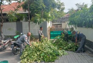 Gandeng Linmas, Babinsa Purwosari Laksanakan Pemangkasan Ranting Pohon Yang Menempel Pada Jaringan Kabel Listrik