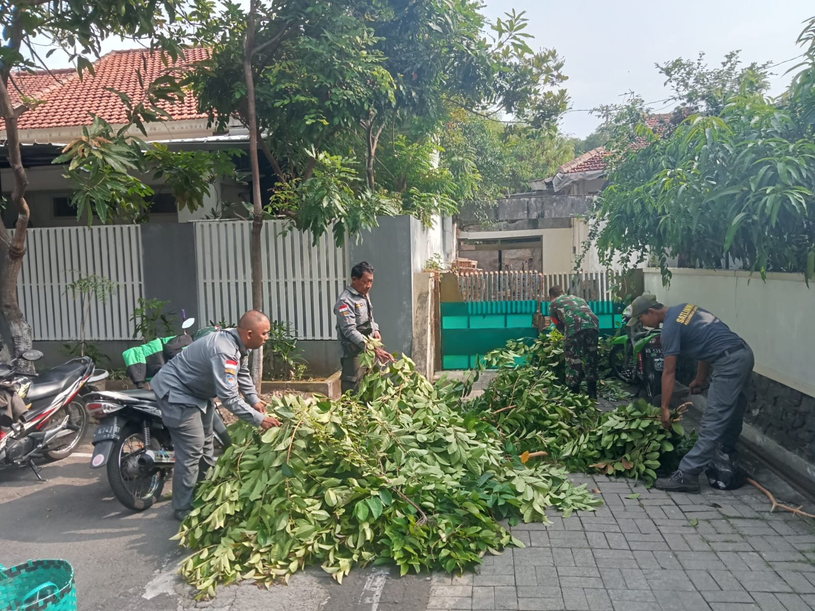 Gandeng Linmas, Babinsa Purwosari Laksanakan Pemangkasan Ranting Pohon Yang Menempel Pada Jaringan Kabel Listrik