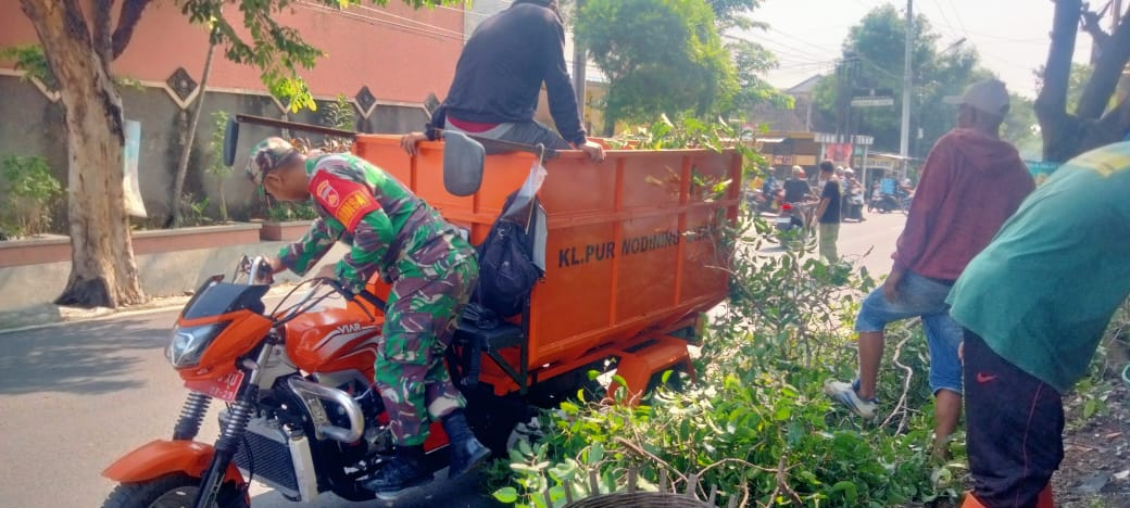 Babinsa Purwodiningratan Turun Tangan, Kerja Bakti Pemangkasan Pohon Wujudkan Lingkungan Bersih Dan Nyaman