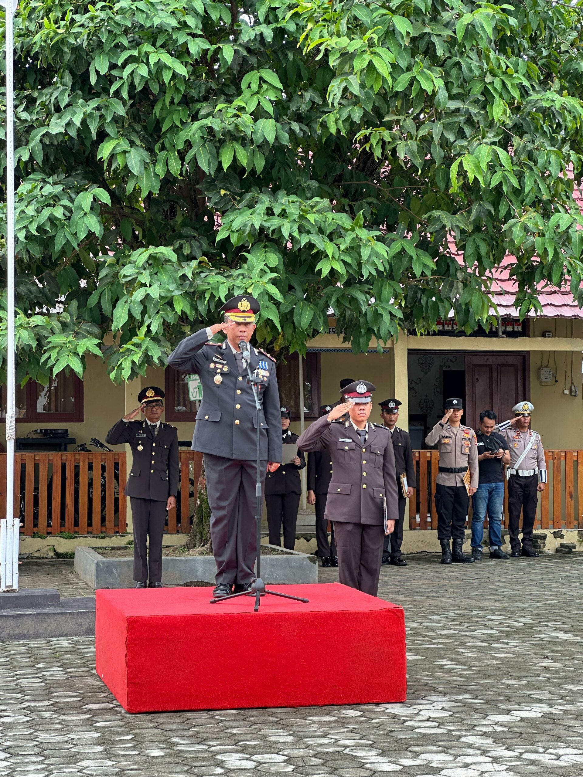 https://www.lampungvisual.com/polres-pesisir-barat-gelar-upacara-peringati-hari-pahlawan-nasional
