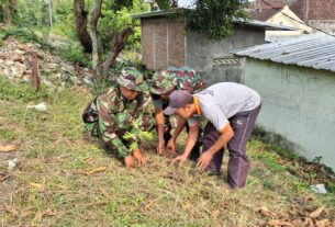 Untuk Menjaga Kelestarian Alam Dan Penghijauan Koramil 03/Serengan Tanam Bibit Pohon Sukun