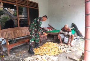 Babinsa Selo Tumbuhkan Semangat dan Motivasi Petani Jagung