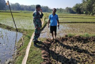 Babinsa Klego Ajak Petani Desa Karangmojo Untuk Percepat Masa Tanam