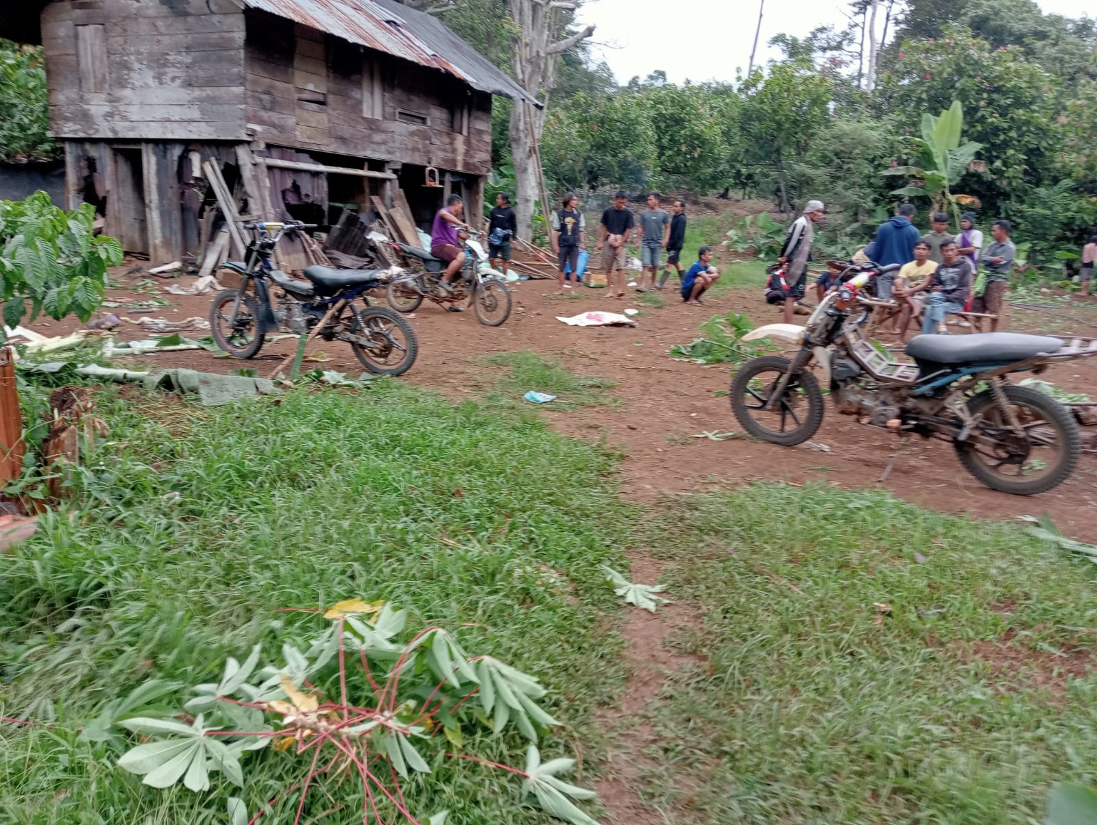 Gajah masuk pemukiman Satu warga Tanggamus tewas