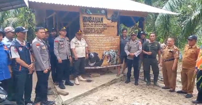 Jejak Harimau Ditemukan di Way balak, Polres Pesisir Barat Lakukan Langkah Antisipasi