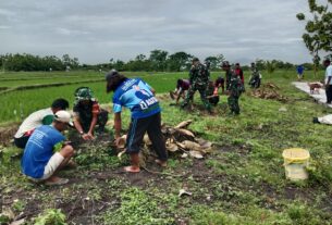 Penanaman Pohon Sukun Upaya Koramil Karangmalang Mendukung Penghijauan