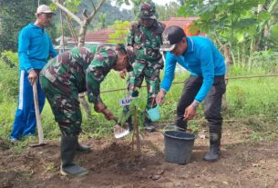 Peringati Hari Juang TNI AD, Kodim 0410/KBL Tanam Ratusan Bibit Pohon di Teluk Betung Barat.