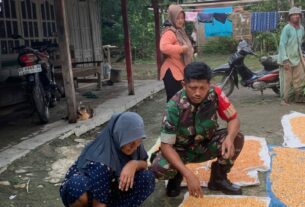 Babinsa Kemusu Aktif Sambangi Petani Desa Kendel