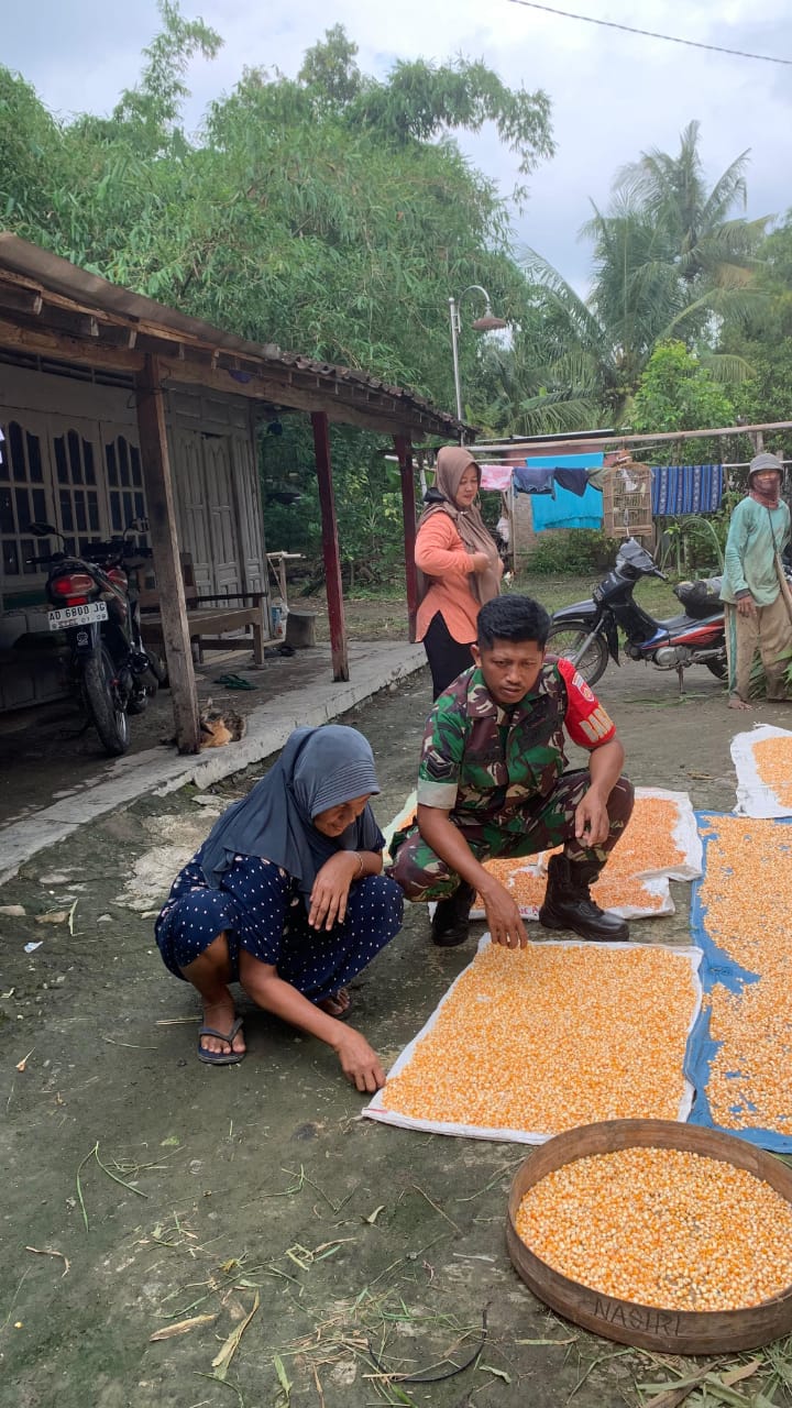 Babinsa Kemusu Aktif Sambangi Petani Desa Kendel
