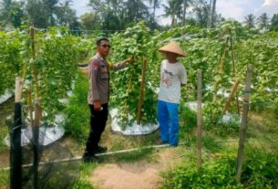 Bhabinkamtibmas Pringsewu memberikan penyuluhan salah satu program ketahanan pangan unggulan Presiden RI