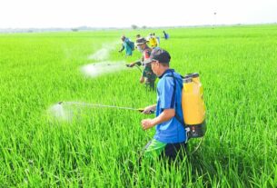 Dukung Ketahanan Pangan, Babinsa Koramil Kepohbaru Bojonegoro bantu Petani Desa Cengkir berantas OPT