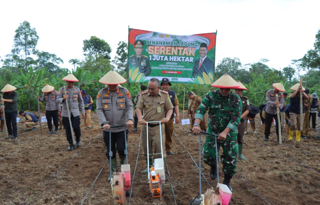 Dukung Ketahanan Pangan Nasional, Polres Tanggamus dan Pemkab Tanam Jagung Serentak di Talang Padang