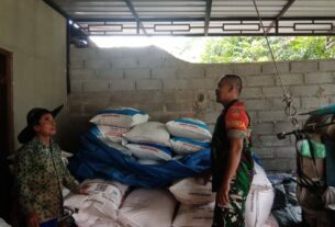 Dukung Swasembada Pangan Babinsa Klego Lakukan Pengecekan Pupuk Di Desa Gondanglegi
