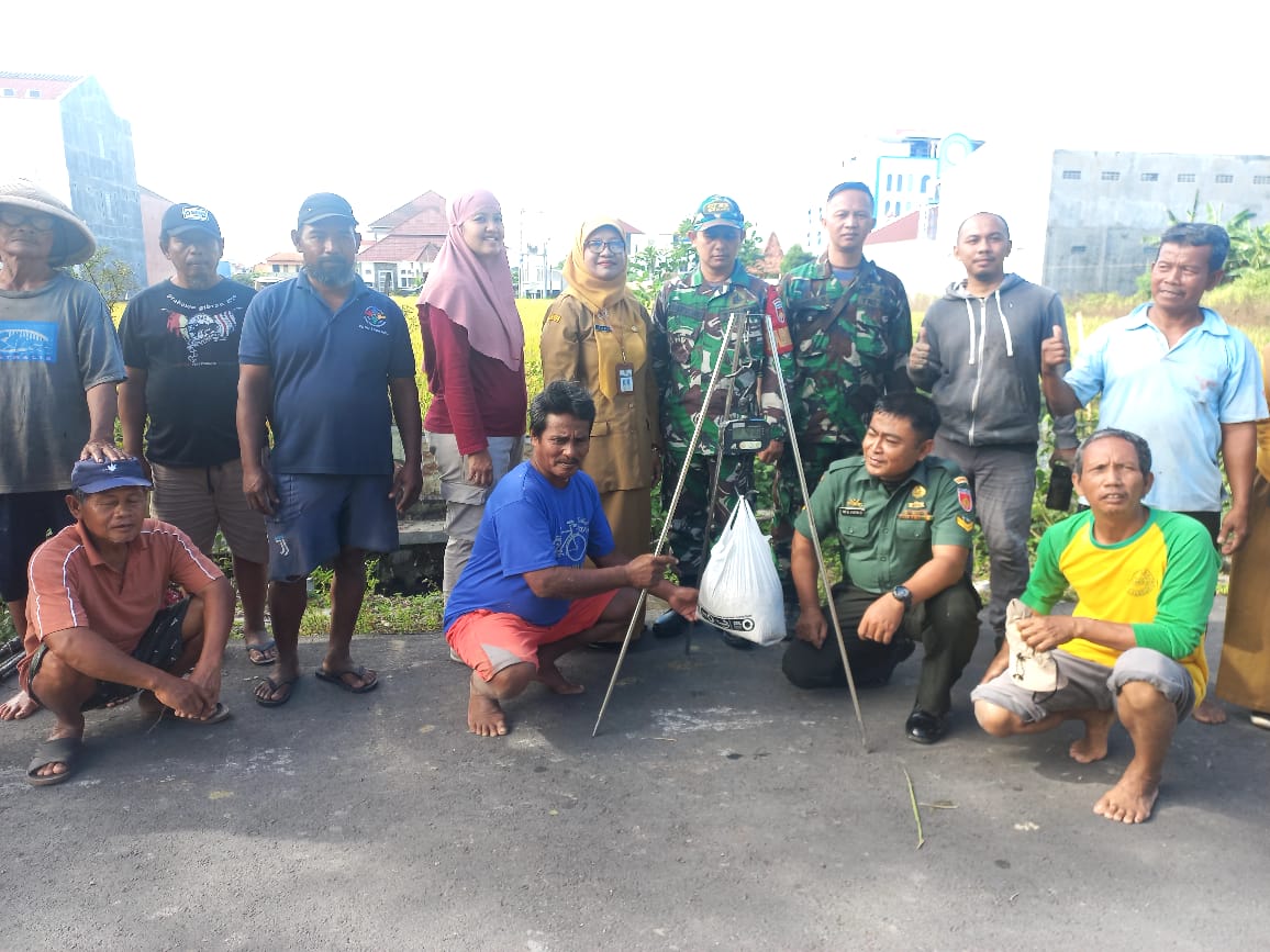 Babinsa Banyuanyar Bersama Dengan BPS Dan PPL Laksanakan Pengubinan Padi, Ini Tujuannya