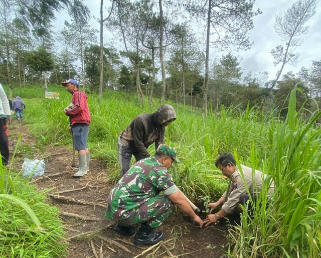 TNI Polri Dan Petugas Gabungan Lakukan Penanaman Pohon Endemik Dijalur Pendakian Gancik