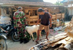 Babinsa Kemusu Berbagi Ilmu Dengan Peternak Desa Ketoyan