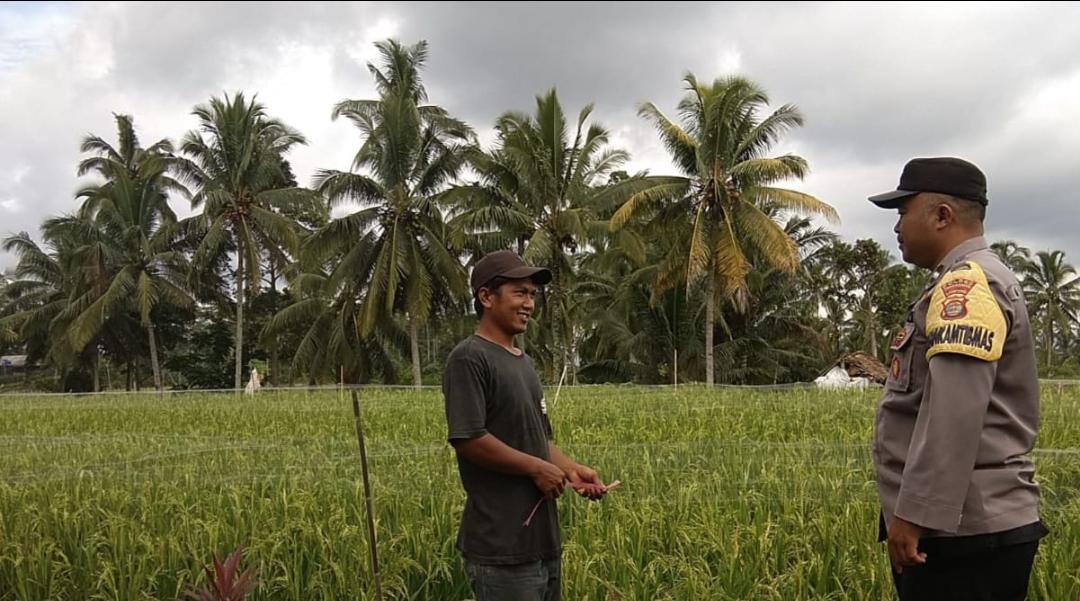 Bhabinkamtibmas Polres Tanggamus Sambangi Petani di Sumberejo dalam Program Ketahanan Pangan 2025