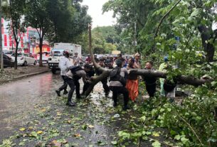 Polisi Bantu Evakuasi Sejumlah Pohon Tumbang di Bandar Lampung