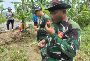 Satgas Dapat Dukungan Logistik Hasil Bumi Warga