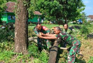 Babinsa Bersama Warga Gotong Royong Pangkas Pohon Besar di Pinggir Jalan, Keamanan dan Kenyamanan Jalan Terjaga