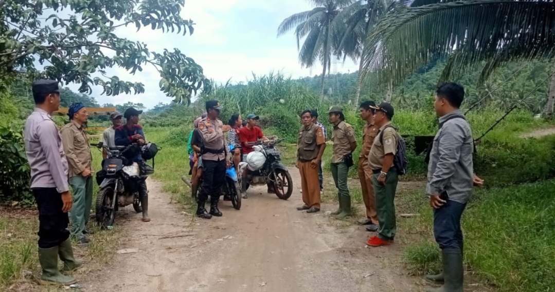 Polsek Semaka Bersama Tim Gabungan Giring Gajah Liar Kembali ke Hutan TNBBS