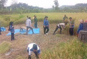 Anggota Koramil Wonosegoro Tunjukkan Dedikasinya Dukung Ketahanan Pangan