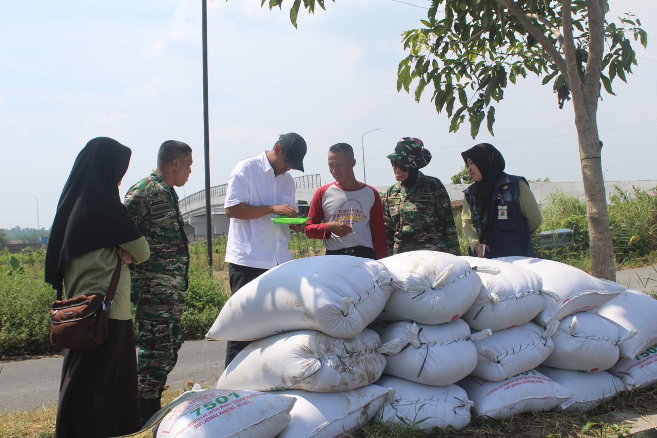 Babinsa Boyolali Jembatani Antara Petani Dan Bulog Terkait Hasil Panen