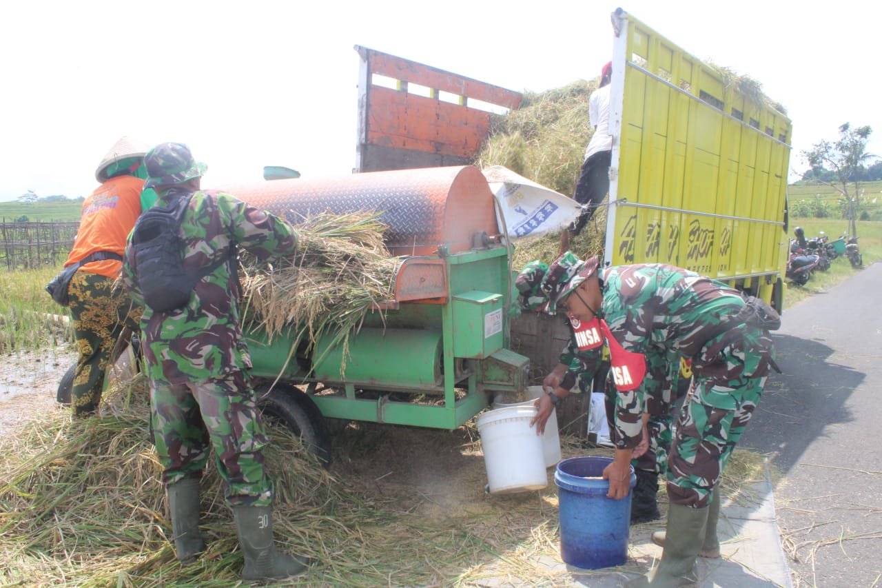 Babinsa Mojosongo Dampingi Bulog Sergab Petani Dlingo