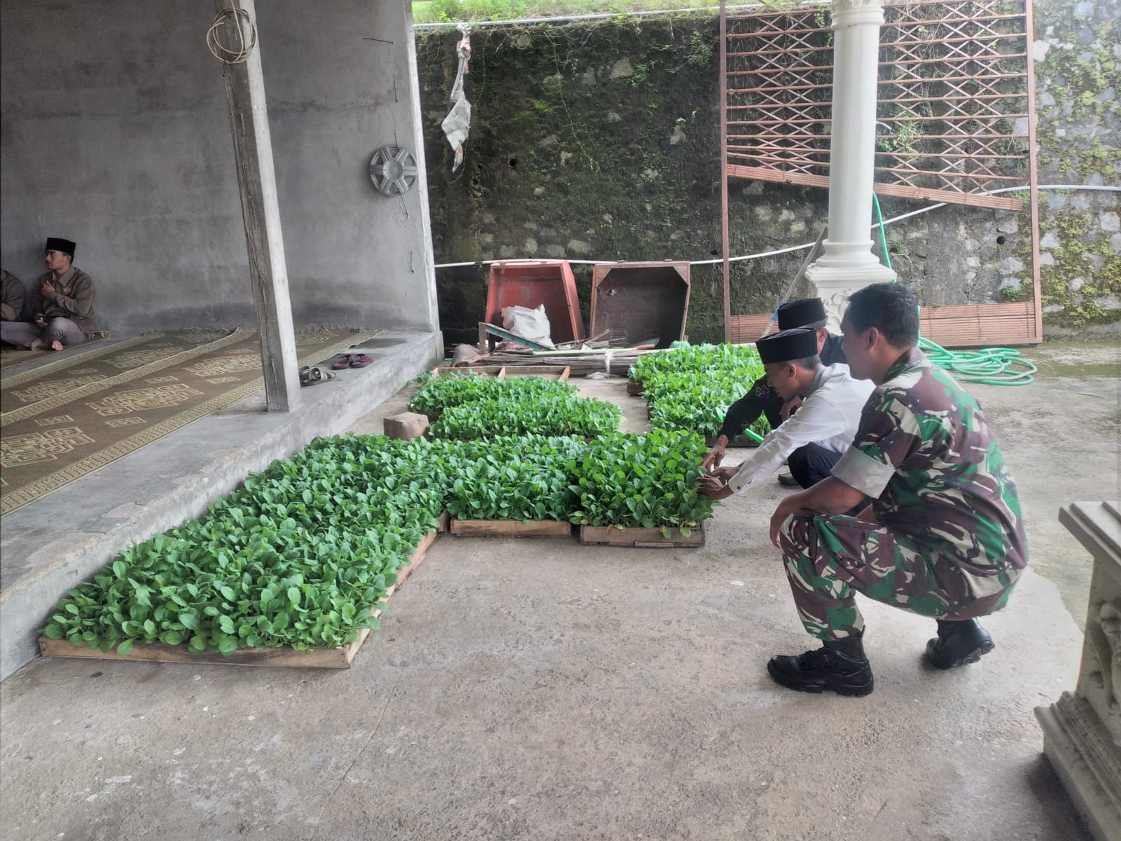 Babinsa Selo Semangati Petani Sayur Wonodoyo