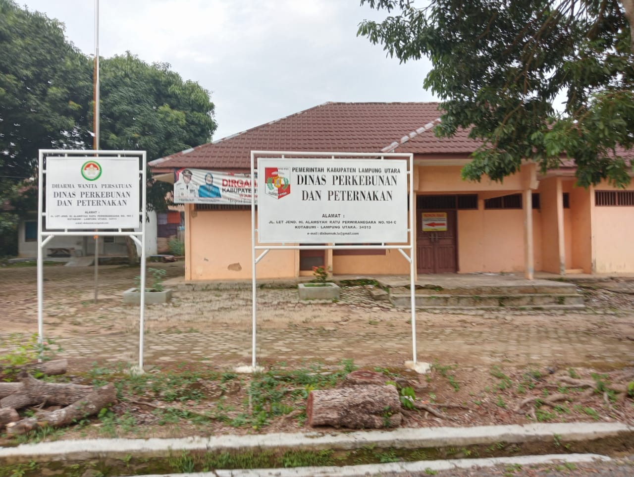Disbunak Lampura tidak pernah terbitkan persetujuan soal penjualan sapi bantuan di Tanjung Raja
