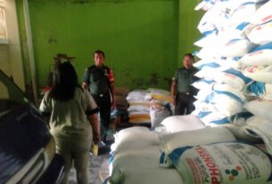 Babinsa: Garda Terdepan Pemantauan Pupuk, Jamin Ketersediaan dan Harga Tepat