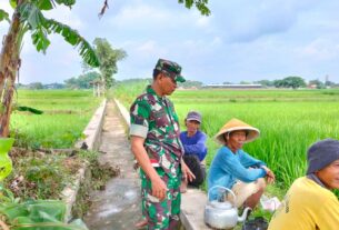 Kedekatan Babinsa Teras Dengan Petani Desa Kopen