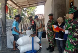 Koramil Teras Dampingi Bulog Serap Gabah Petani Desa Nepen