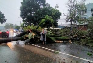 Sigap dan Tanggap! Babinsa Jagabaya III Sertu Sugiyanto Pimpin Evakuasi Pohon Tumbang di Depan Kantor Bawaslu Lampung